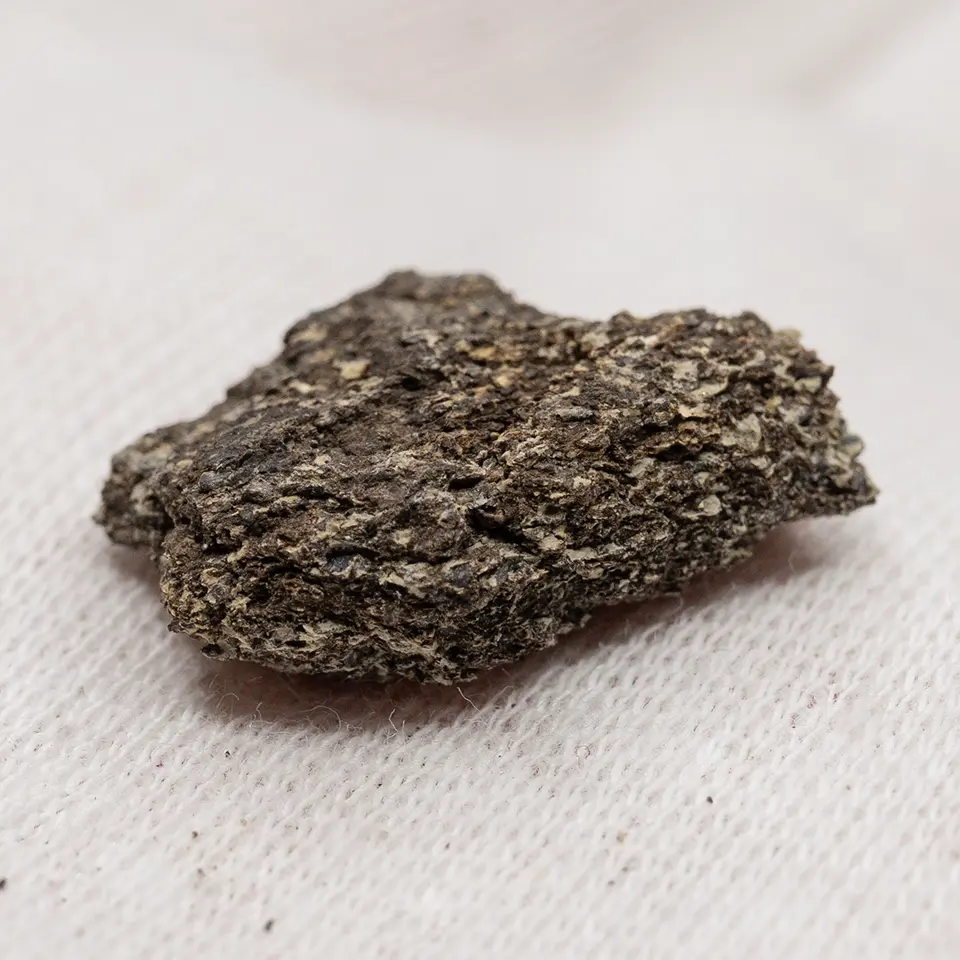 Fragment einer fossilen Knochenplatte eines Stegosaurus, Nahaufnahme auf hellem Hintergrund.